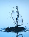 Water drop close up. Water sculpture. Royalty Free Stock Photo