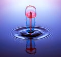 Water drop collision Royalty Free Stock Photo