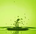 Water Drop Collisions Macro Photography with green background