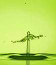 Water Drop Collisions Macro Photography with green background