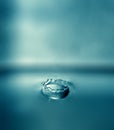 Water drop, crown and splash Royalty Free Stock Photo