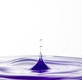 Water drop effect in purple color tone  in white background Royalty Free Stock Photo