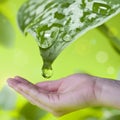 Water drop falling on hand Royalty Free Stock Photo