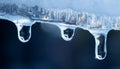 A water drop falling in slow motion from the tip of an icicle, symbolizing the transition from cold to warmth Royalty Free Stock Photo