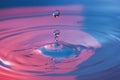 Water drop falling into water Royalty Free Stock Photo