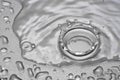 A water drop forms a crown Royalty Free Stock Photo