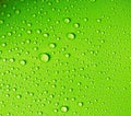 Water drop on fresh light green background Royalty Free Stock Photo