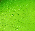 Water drop on fresh light green background