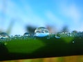 Dew on The Grass, Morning Royalty Free Stock Photo