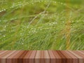 Water drop on grass and wooden table for product display Royalty Free Stock Photo