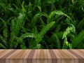 Water drop on grass and wooden table for product display Royalty Free Stock Photo