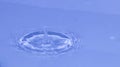 Water drop hits on water surface splashes