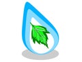 Water drop icon with a leaf inside and in vector blue logo with green - Vector