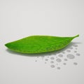 Water Drop Leaf