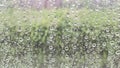 Water drop of rain on window glass burred garden Royalty Free Stock Photo