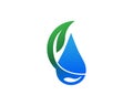 Water drop shape with tree leaf, Hydroponics Logo concept, flat design vector isolated