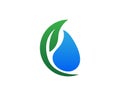 Water drop shape with tree leaf, Hydroponics Logo concept, flat design vector isolated