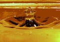 Water drop and spalsh Royalty Free Stock Photo