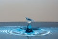 Water drop splash blue colored Royalty Free Stock Photo