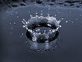 Water drop splash crown Royalty Free Stock Photo