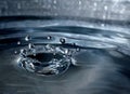 Water drop splash crown Royalty Free Stock Photo