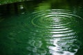 Water drop on the surface of the water,  Abstract green background Royalty Free Stock Photo