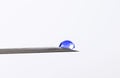 Water drop on the tip of the syringe. Royalty Free Stock Photo