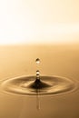 Water drop. Transparent water drop with circular waves.