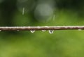 Water drop on a wire wallpaper Royalty Free Stock Photo