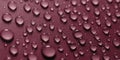 water droplet background natural dewdrop Royalty Free Stock Photo