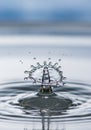A water droplet collides with a rising drop, creating a crown-like Royalty Free Stock Photo