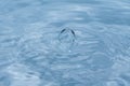 Water droplet falling into clear blue water