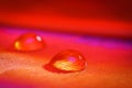 Water droplet on feather under red and magenta lighting
