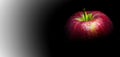 Water droplet on glossy surface of red apple on black background Royalty Free Stock Photo