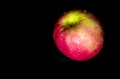 Water droplet on glossy surface of red apple on black background Royalty Free Stock Photo