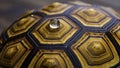 Water droplet rests on the patterned shell of a tortoise in a natural setting Royalty Free Stock Photo