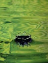 Water Droplet Ripple light green ring splash Royalty Free Stock Photo
