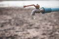 Water droplets on arid soil. Royalty Free Stock Photo