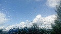 Water droplets background. Rain drops on a window pane. Water drop falling down on the window glass in rainy weather. Close-up Royalty Free Stock Photo