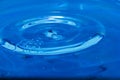 Water droplets, Blue water drops splashes. Royalty Free Stock Photo