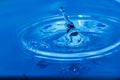 Water droplets, Blue water drops splashes. Royalty Free Stock Photo