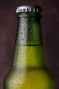 Water droplets on cold bottle of beer Royalty Free Stock Photo