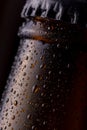 Water droplets on cold bottle of beer Royalty Free Stock Photo