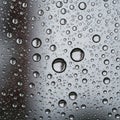 Tension causes droplets to appear spherical, reflecting light and Royalty Free Stock Photo