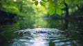 Water droplets falling into a calm forest stream Royalty Free Stock Photo