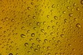 Water droplets on gold Background Wallpaper Patter.