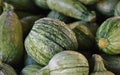 Water Droplets on Honeydew Melons Royalty Free Stock Photo