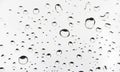 Water Droplets on a metal Surface