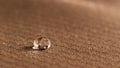 Water droplets on moisture resistant fabric Close up Royalty Free Stock Photo