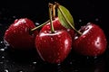 Water droplets on red ripe cherries on black background Royalty Free Stock Photo
